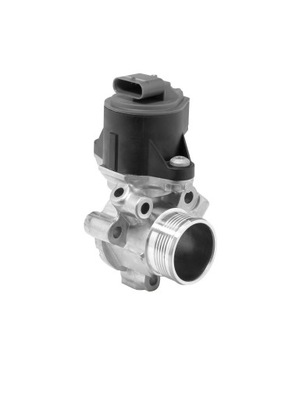 VÁLVULA EGR AGR 710753D BORGWARNER (WAHLER)  