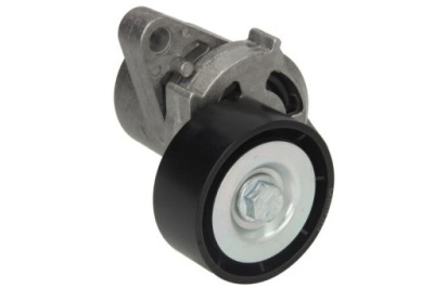 Ролик натяжителя ремень snr ga355.14 фото №1