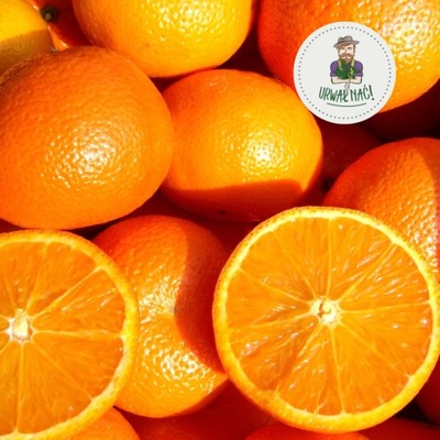 Soczyste pomarańcze 1 kg