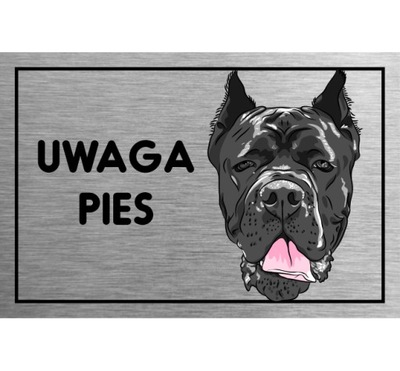 Tabliczka UWAGA PIES cane corso 30x20 cm