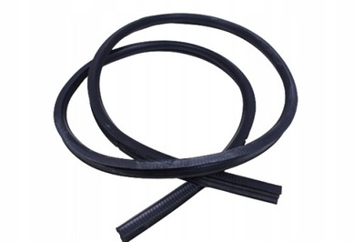 Прокладка двері smart fortwo ii 15r. electric фото №1