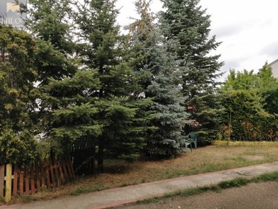 Działka, Legionowo, Legionowski, 572 m²