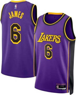 Lebron James Los Angeles Lakers NBA Purple Statement Edition Swingman