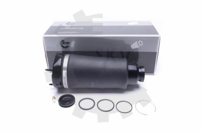 Esen skv 58skv066 амортизатор пневматичний фото №1