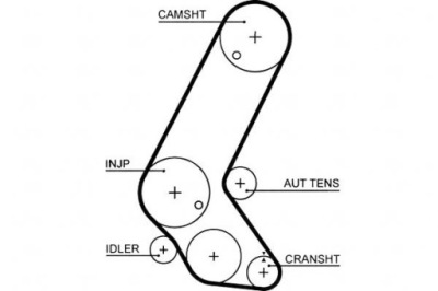 Gates 5595xs ремень распределительного вала фото №1