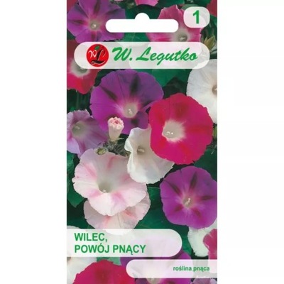 NASIONA WILEC MIESZANKA 5.00G LEGUTKO