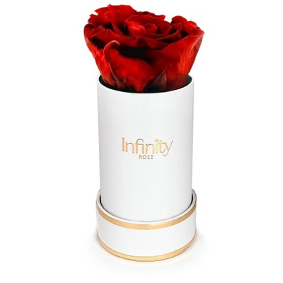 Pachnąca czerwona wieczna róża biały flower box