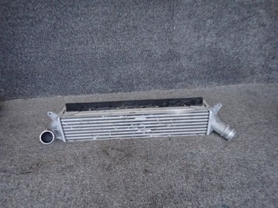 Hyundai kona 1.6 tgdi 17- інтеркулер фото №1