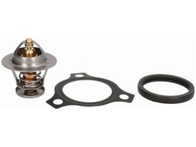 Термостат ford ecosport 1.0 tourneo connect 1.0 courier 1.0 custom 1.0 фото №1