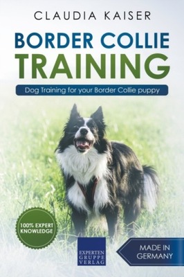 Border Collie Training - Dog Training for Your Bor