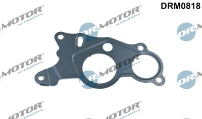 Прокладка насоса вакууму dr.motor /вакуум/ vag фото №1