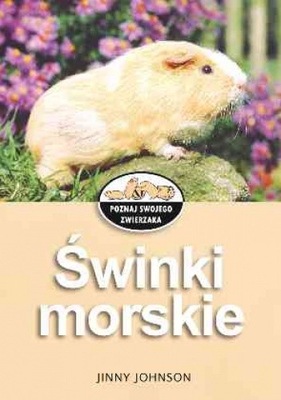 Świnki morskie Jinny Johnson