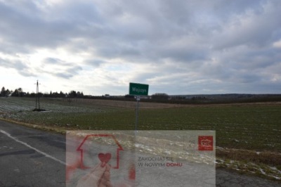 Działka, Wojszyn, Janowiec, Puławski, 3100 m²