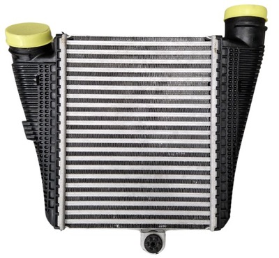 INTERCOOLER AUŠINTUVAS DEŠINIOJI AUDI A8 D5 4N 3.0TFSI 