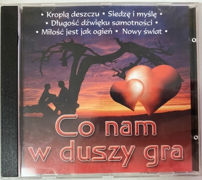 CD The Best Of Suzi Quatro
