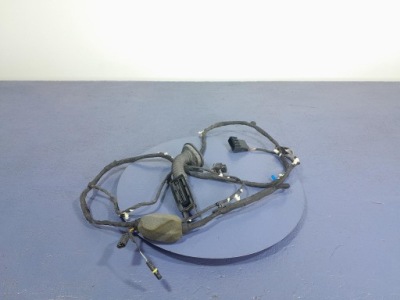 Bmw x5 g05 джгут двері задня задня ліва 8779818 фото №1