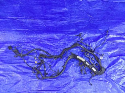 Электропроводка жгут двигателя mercedes w176 2,2cdi 4x4 фото №1