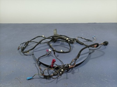 Bmw 5 g30 g31 электропроводка дверь перед передняя левая фото №1