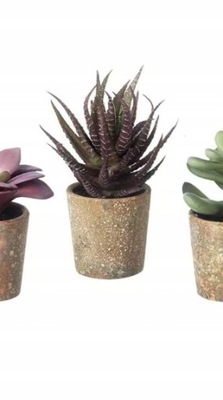 URBAN OUTFITTERS SZTUCZNA ROŚLINA SUCCULENT