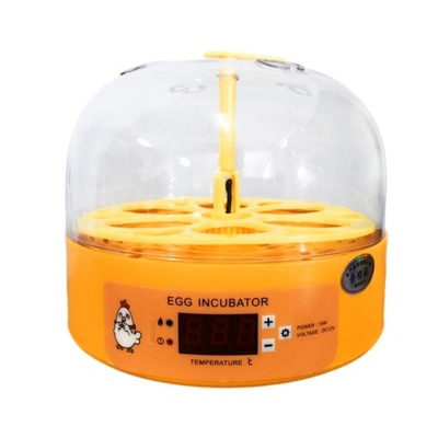 Mini Inkubator Automatyczne Obracanie