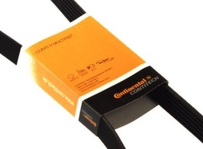 CONTINENTAL AVX10X980 BELT WEDGE - milautoparts-fr.ukrlive.com