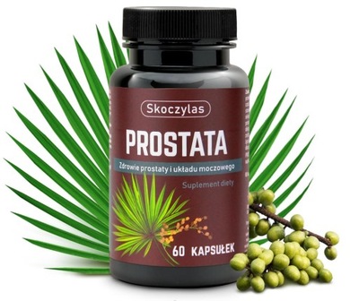 Prostata