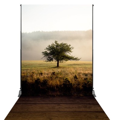 Tło fotograficzne Pole łąka drzewo158 x 300 cm
