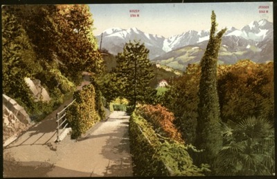 Meran Vegetation in der Gilfanlage -Photoglob 1920