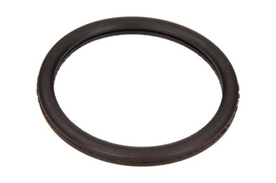 GASKET THERMOSTAT RENAULT MEGANE 1,4 16V 00- 1-890-568  