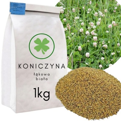 KONICZYNA BIAŁA NASIONA PASTWISKOWA POPLON KWALIFIKOWANA łąkowa 1KG