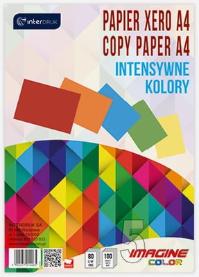 Papier Kolorowy Interdruk A4 Biurowy do Drukarki 5 kolorów 100 kartek