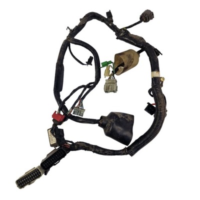 JUEGO DE CABLES INSTALACIÓN ELÉCTRICA HONDA CBR 600 F4I SPORT 01-06  