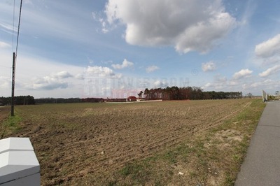 Działka, Gogolin (gm.), 1151 m²