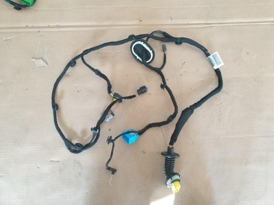 Citroen ds7 электропроводка дверь левый задняя 9826016180 фото №1