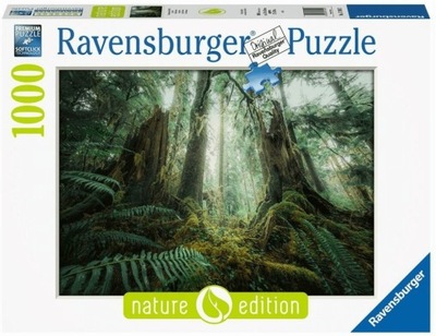 Puzzle 1000. Lasy Ravensburger