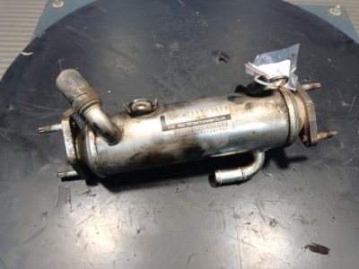 Opel antara a 2.0 cdti радіатор вихлопних газів egr 96817829 фото №1