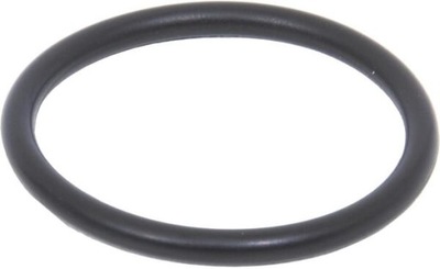 O-ring 14457980