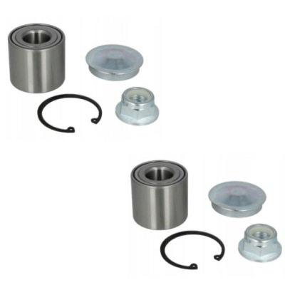 Підшипник колеса задня renault megane ii scenic ii grand scenic ii фото №1