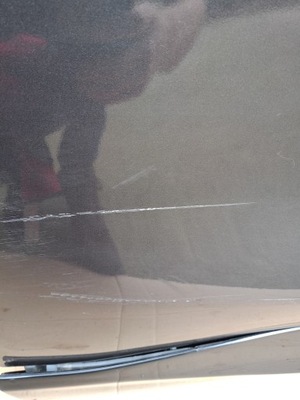 Ford mustang mach-e двері задні задня праве фото №1