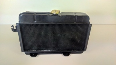 Citroen ds 1955-1975 2.1 радіатор води фото №1