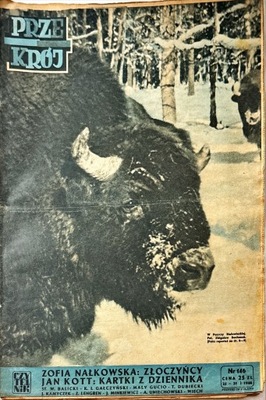 PRZEKRÓJ 25 - 31 I 1948