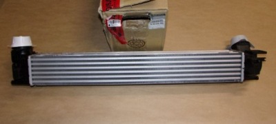 Радиатор воздуха r megane 3 144963639r фото №1