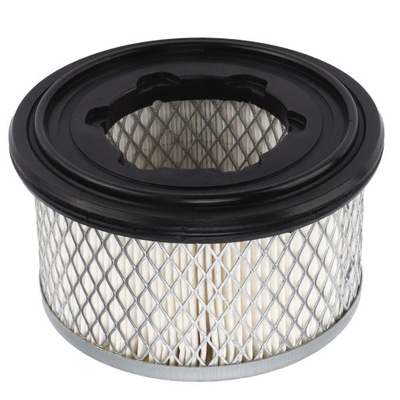 AIR FILTER CLEANER ED2175306S FOR LOMBARDINI