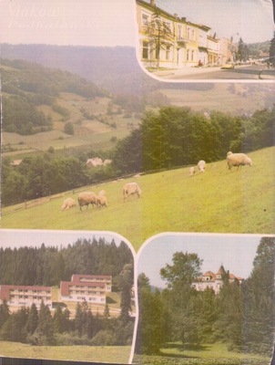 Maków Mozaika .....