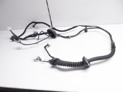 Qashqai j10 джгут двері перед права 24125-jd05e фото №1