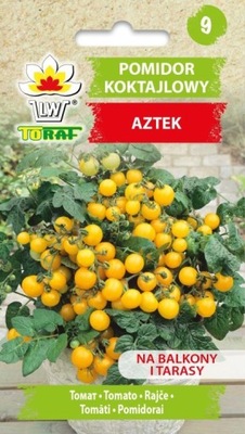 Pomidor koktajlowy AZTEK 0,3g TORAF