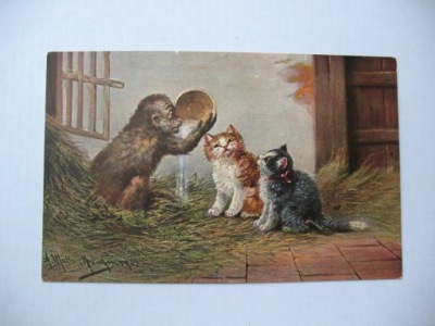 KOT KOTY MAŁPA przedwojenna POCZTÓWKA