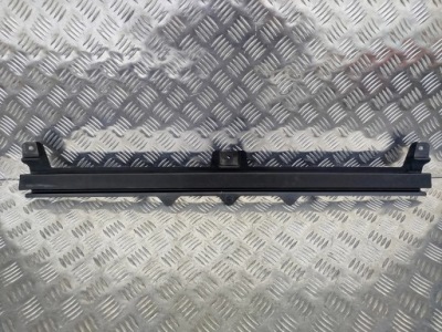 Заглушка молдинг решітка daf ngd xf xg xg+ фото №1