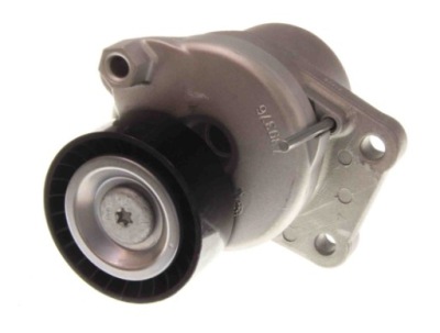 SKF NAPINACZ PASKA WIELOROWKOWEGO CITROEN 2,0 BLUEHDI