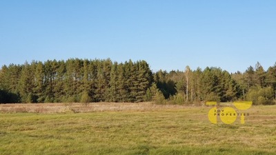 Działka, Płaska, Płaska (gm.), 9410 m²